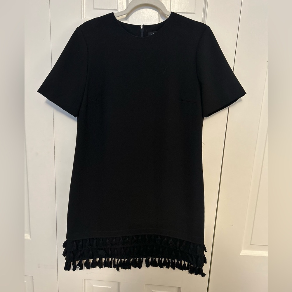 Zara tassel mini dress